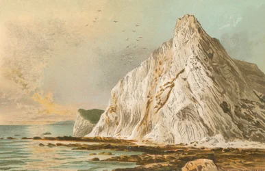 Culver Cliff - Isle of Wight