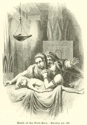 Tod der Erstgeborenen, Exodus, xii, 29