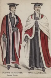 Doktor der Theologie, Festkleid, Vizekanzler