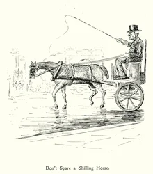 Spare kein Schillingpferd; Spor kein williges Pferd