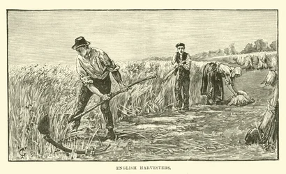 Englische Erntearbeiter