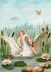 Fee reitet auf einem weißen Schwan zwischen Rohrkolben und Seerosen