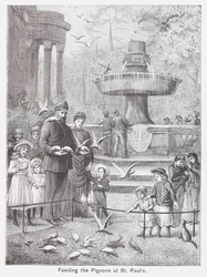 Tauben füttern bei St. Paul