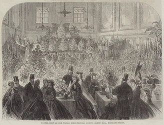 Blumenschau der United Horticultural Society, Albion Hall, Moorgate-Street