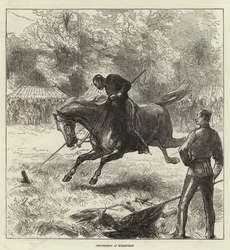 Titelseite der Illustrated London News, 12. Juni 1875