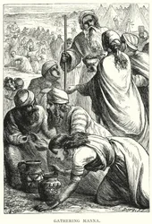 Sammeln von Manna (Stich)