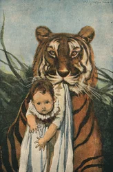 Guter Tiger
