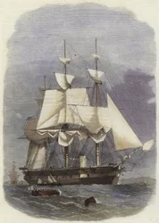 Ihre Majestät Dampfkorvette Racoon