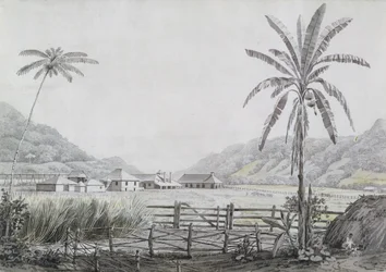 Halse Hall, Jamaika, um 1780
