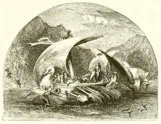 Hanno nähert sich der Insel der wilden Männer