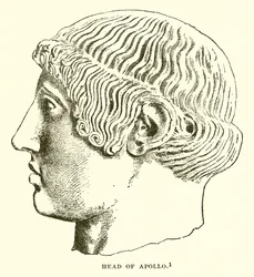 Kopf des Apollo