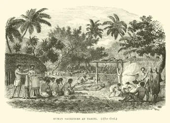 Menschenopfer auf Tahiti, nach Cook