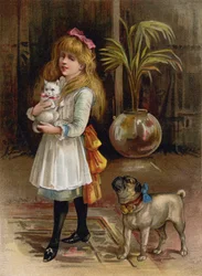 Ich möchte, dass du Freunde bist