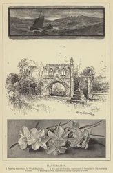 Illustration