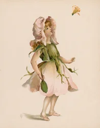 Illustration für Die Sprache der Blumen