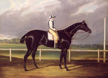 Jerry, Gewinner des St. Leger im Jahr 1824