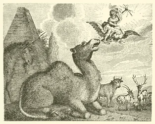 Jupiter und das Kamel