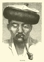 Kalmücke