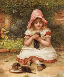 Kittie darf nicht gierig sein