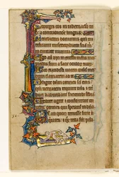 MS 1-2005, fol. 45v: Ein Affe, der in den Hintern eines Mannes schaut, Randdekoration aus dem Macclesfield Psalter, Use of Sarum, Ostanglien, um 1330