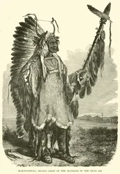 Mah-to-toh-pa, Zweiter Häuptling der Mandan im Jahr 1883