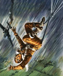 Mann fällt mit Fallschirm