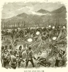 Maori-Krieg: Angriff auf ein Pah