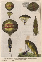 Mr. Hamptons Aufstieg vom Cremorne House, Chelsea