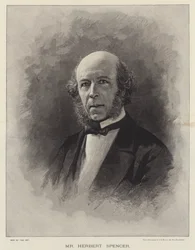 Herr Herbert Spencer (Stich)