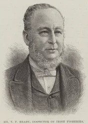 Herr T F Brady, Inspektor der irischen Fischerei (Stich)