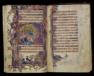Ms 1-2005, ff.161v-162r: Der Vater und der Sohn, historisiertes D-Initial aus dem Macclesfield Psalter, Gebrauch von Sarum, Ostanglien, ca. 1330
