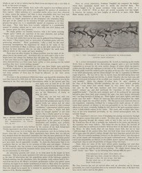 Unser naher Nachbar, Mars (Lithografie)