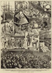 Unser kolonialer Wollhandel