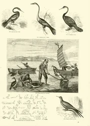 Seite aus dem Bildmuseum der belebten Natur