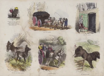 Seite aus dem attraktiven Bilderbuch (kolorierte Gravur)