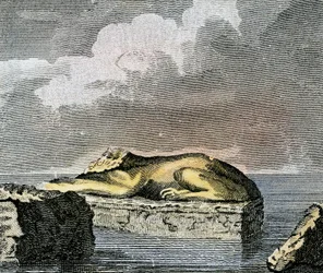 Teil einer ägyptischen Sphinx, gefunden in den Ruinen der antiken Stadt Canopus
