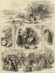 Gänseleberpastete in Straßburg