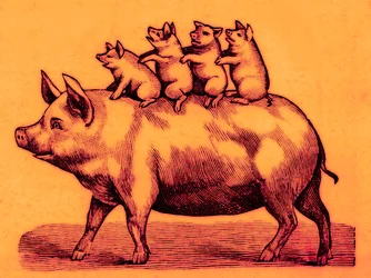 Schwein mit seinen Ferkeln, Illustration aus Coles Lustiges Bilderbuch (digital verbessert)