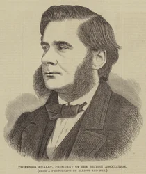 Professor Huxley, Präsident der British Association (Stich)