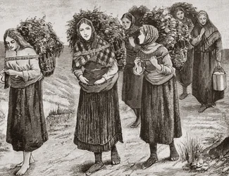 Rückkehr von der Alm, die Hebriden um 1880, aus 