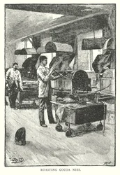 Röstung von Kakaonibs