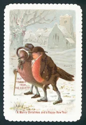 Rotkehlchen tragen Kleidung, Weihnachtskarte