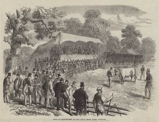 Verkauf von Shorthorns auf der Royal Shaw Farm, Windsor (Gravur)