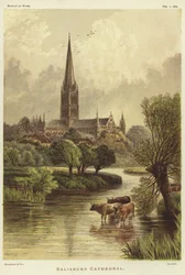 Kathedrale von Salisbury in Salisbury
