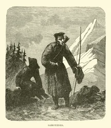 Samojeden