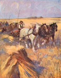 Saskatchewan, der moderne Schotte auf seinem Selbstbinder