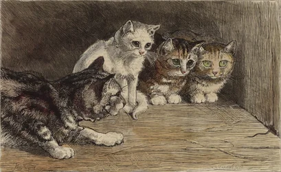 Mehrere Katzen betrachten den Schwanz einer Maus