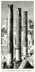 Mit Muscheln markierte Säulen, Tempel von Serapis (Gravur)