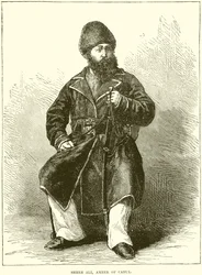 Shere Ali, Emir von Kabul