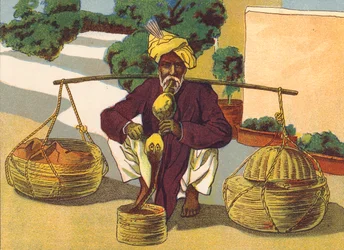 Schlangenbeschwörer, Indien